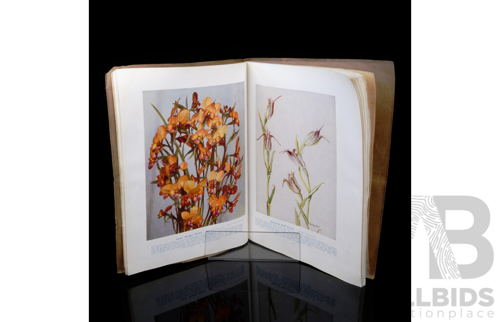 West Australian Wildflowers, C a Gardener, West Australian Newspapers, 1941, Soft Cover