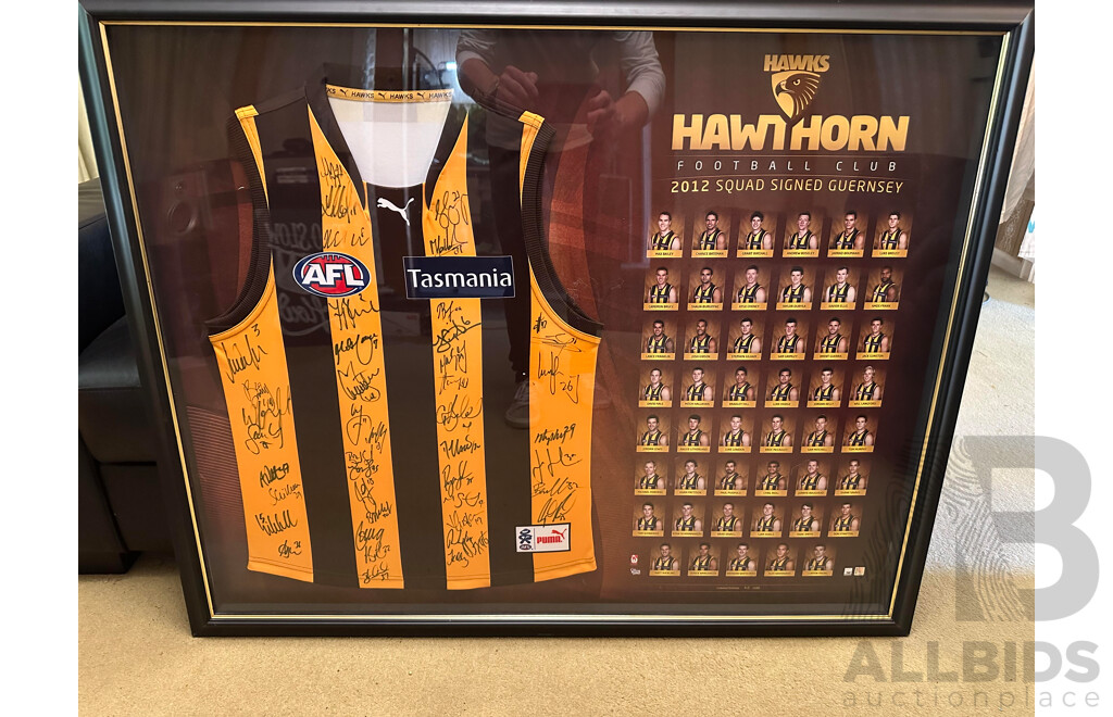 Hawthorn Hawks Football Club 2012 Team Signed & Framed Guernsey