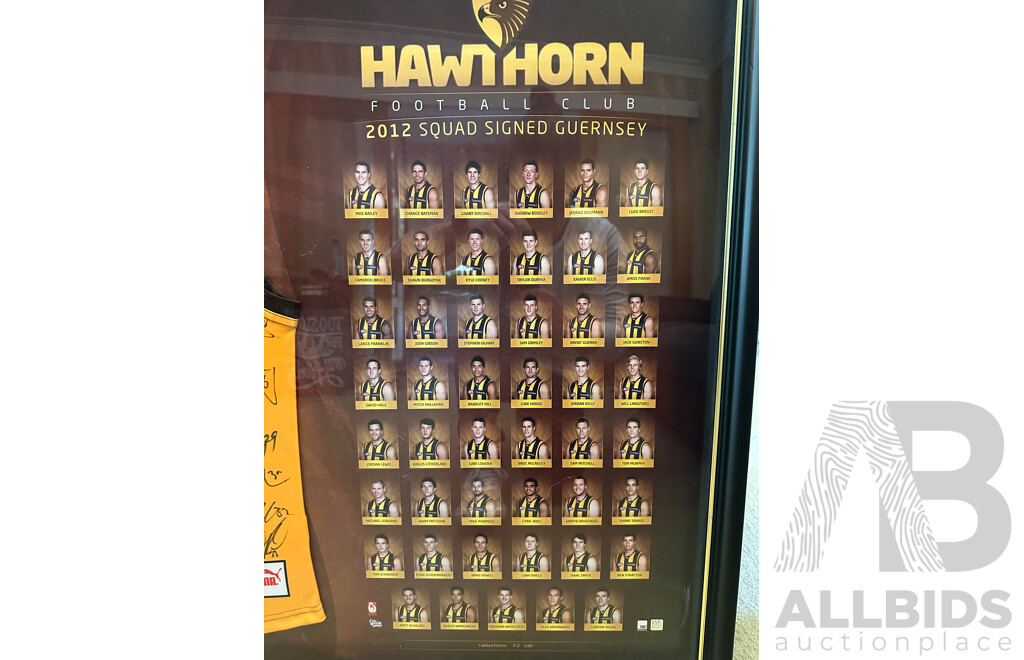 Hawthorn Hawks Football Club 2012 Team Signed & Framed Guernsey