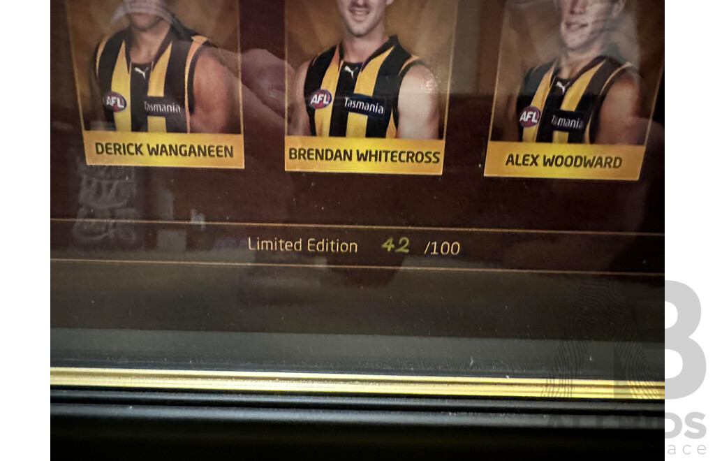 Hawthorn Hawks Football Club 2012 Team Signed & Framed Guernsey
