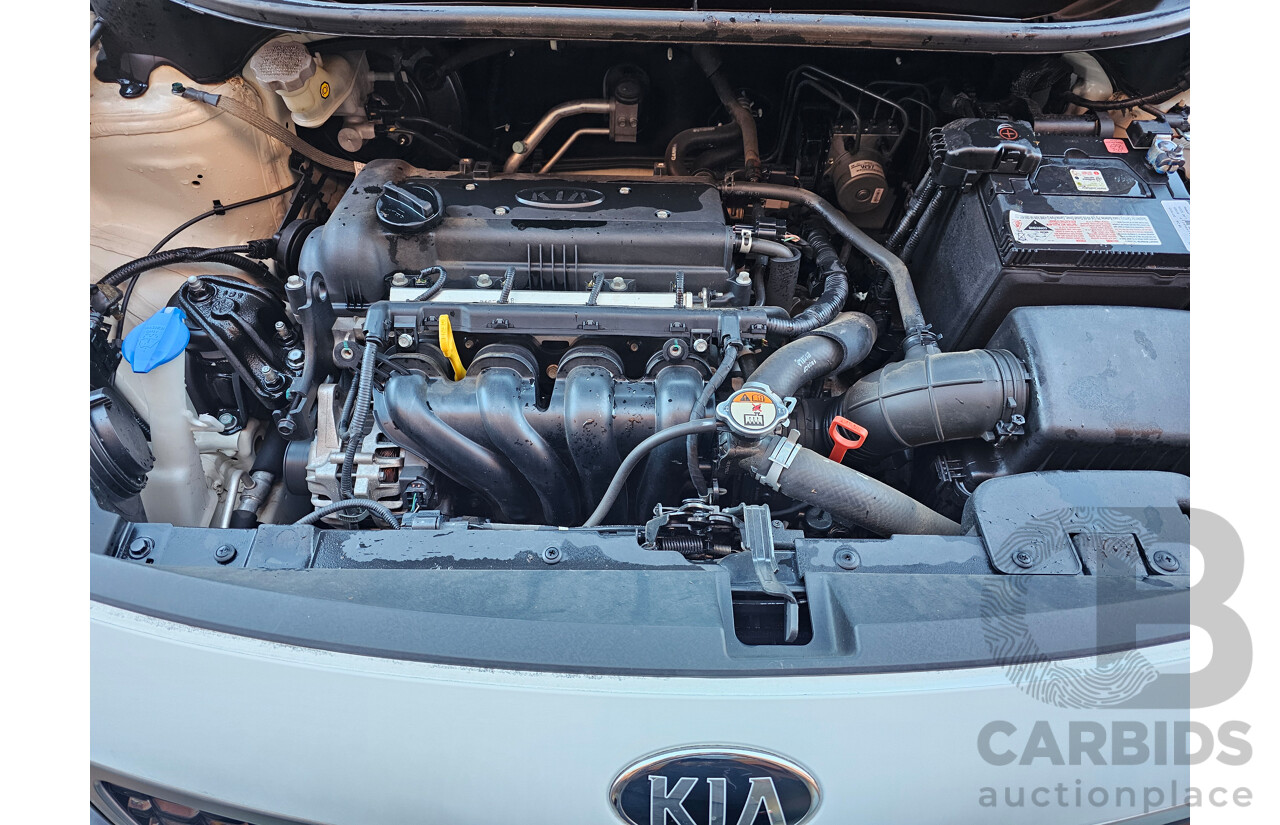 6/2015 Kia RIO S UB MY15 5d Hatchback White 1.4L