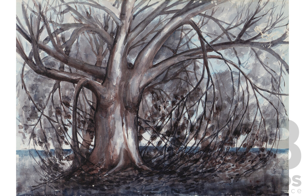 Darcy Forden (1917-1989), River She-oak, 1969, Watercolour