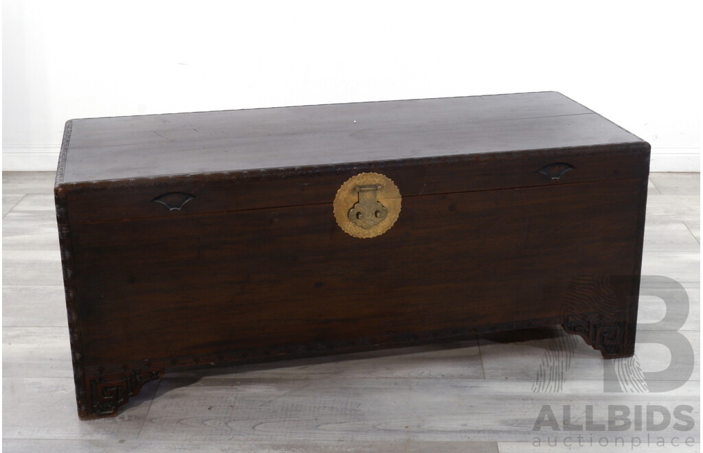 Chinese Camphorwood Trunk