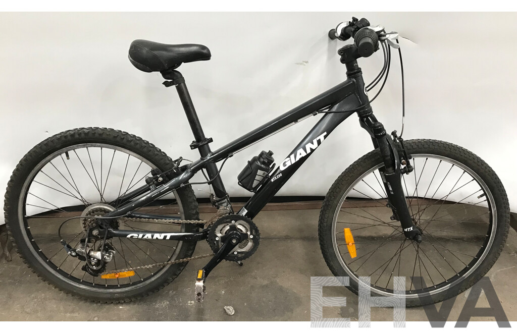 Giant MTX-250 21 Speed Kids' Bike
