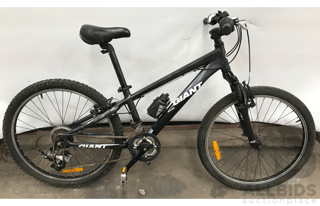 Giant MTX-250 21 Speed Kids' Bike