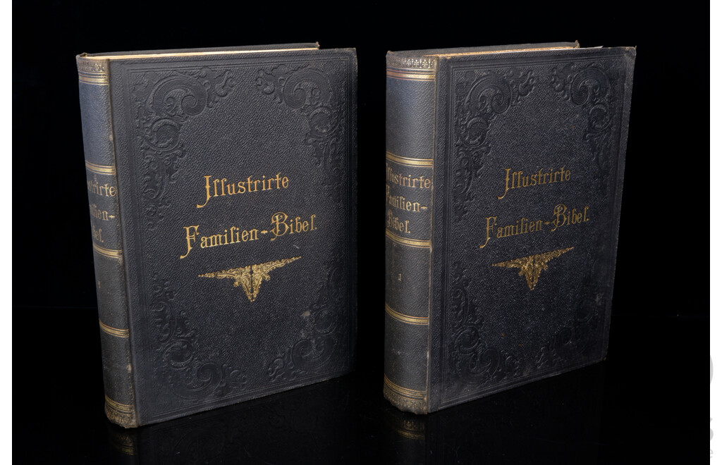 Antique Two Volume Set, German Illustrated Family Bible, Cloth Embossed Hardcovers