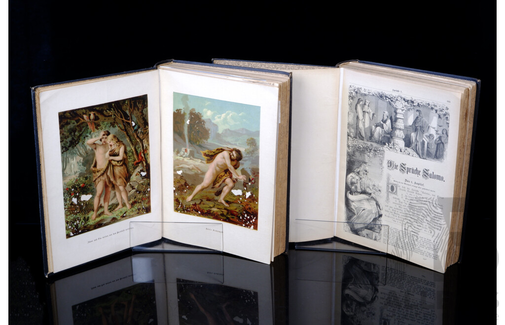 Antique Two Volume Set, German Illustrated Family Bible, Cloth Embossed Hardcovers