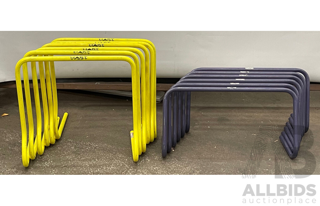 Assorted Step Hurdles - Lot of 12