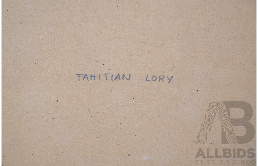 Blake Twigden (20th Century, New ZealnderBorn 1945-), Tahitian Lory/Blue Lorikeet, 1990, Watercolour