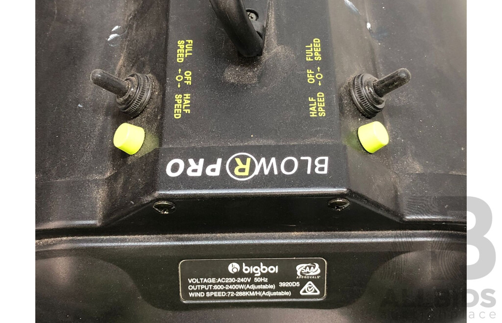 BlowrPro Big Boi Contactless Car Dryer