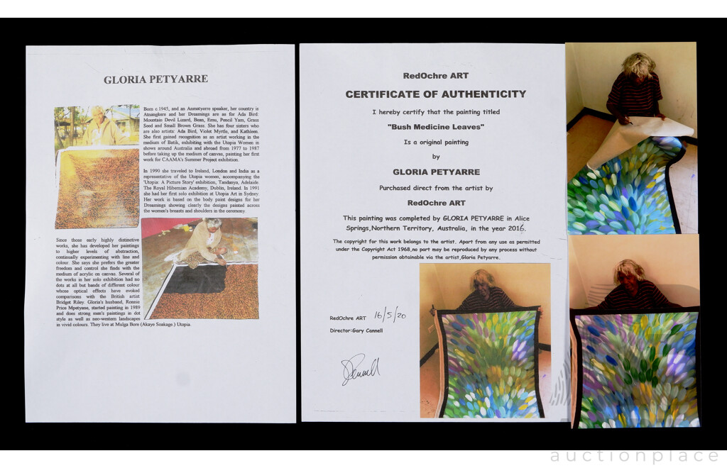 Gloria Petyarre, (Indigenous Australian, C1942-2021), Bush Medicine Leaves, 2016, Acrylic on Linen