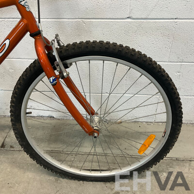 APOLLO Rapid Fire Mountain Bike (45cm Frame)