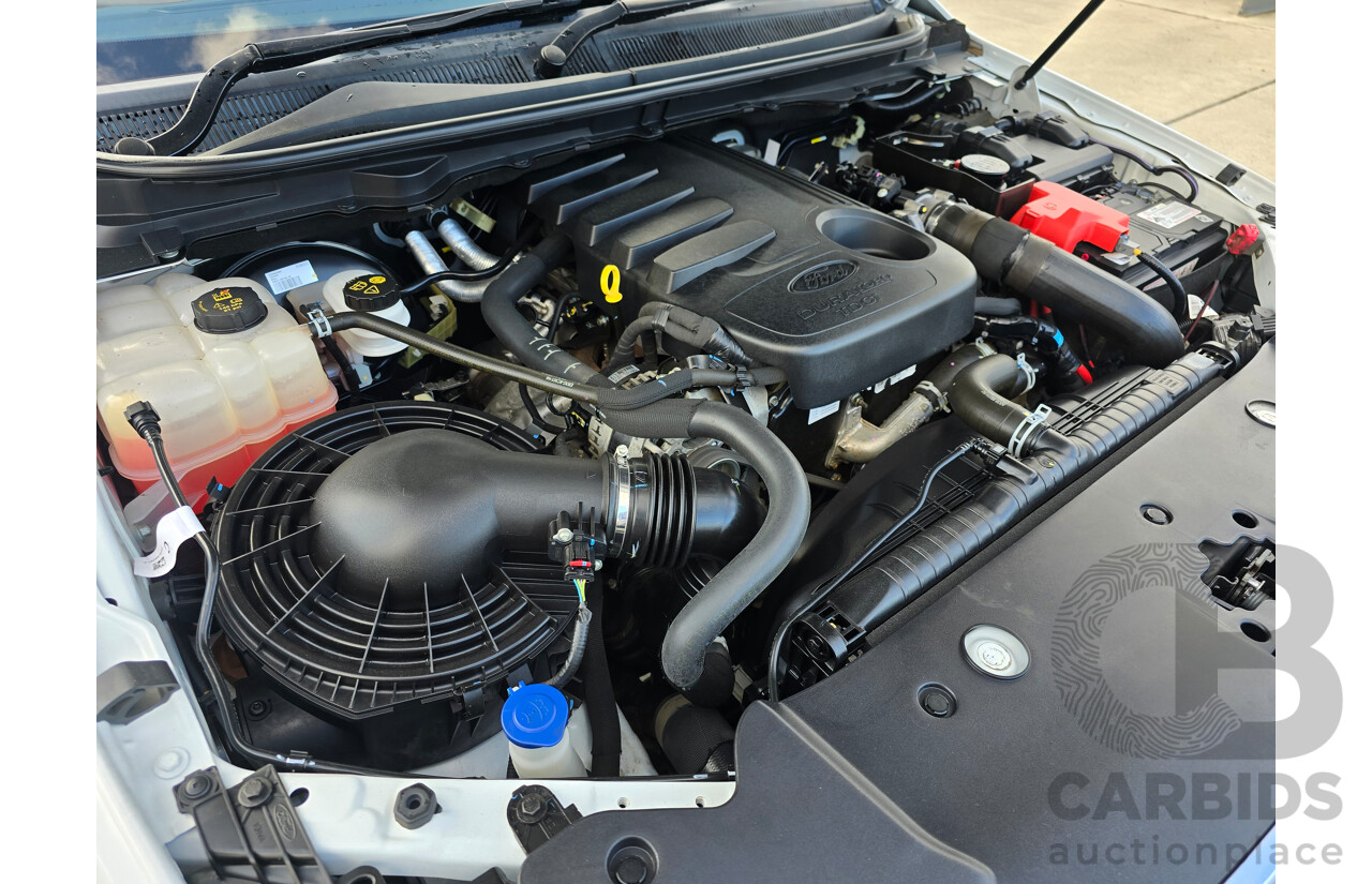 8/2018 Ford Ranger XLT 3.2 (4x4) MY19 PX MKIII 4d Dual Cab Utility Frozen White Turbo Diesel 3.2L