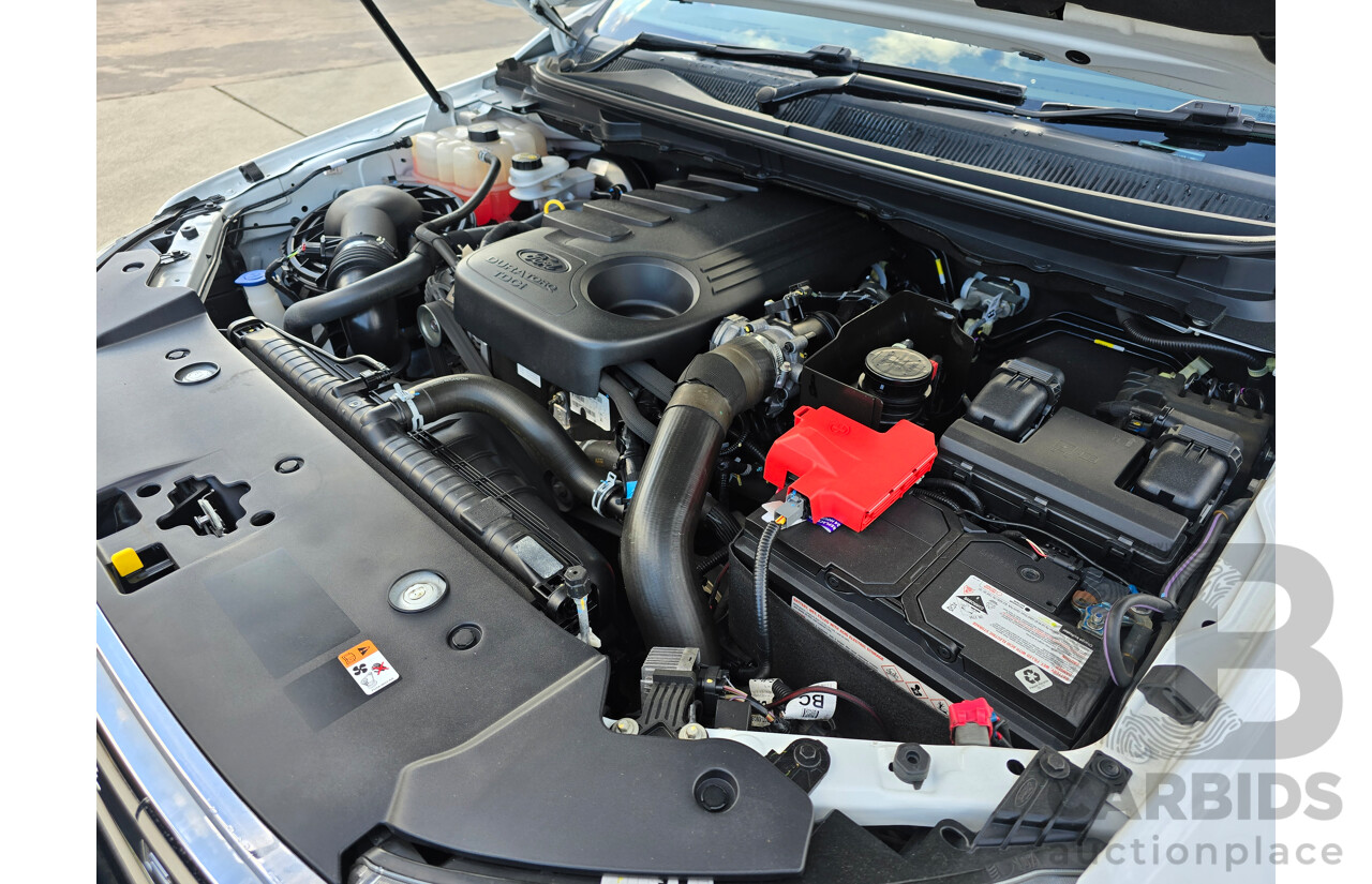 8/2018 Ford Ranger XLT 3.2 (4x4) MY19 PX MKIII 4d Dual Cab Utility Frozen White Turbo Diesel 3.2L