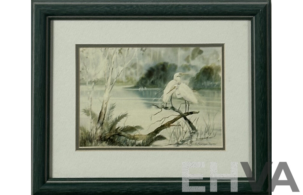Diana Watson 'Xanadu', (20th Century, Australian, 1940-), Tuross Egrets, Artist's Proof, Watercolour, 24 x 29 cm (frame)