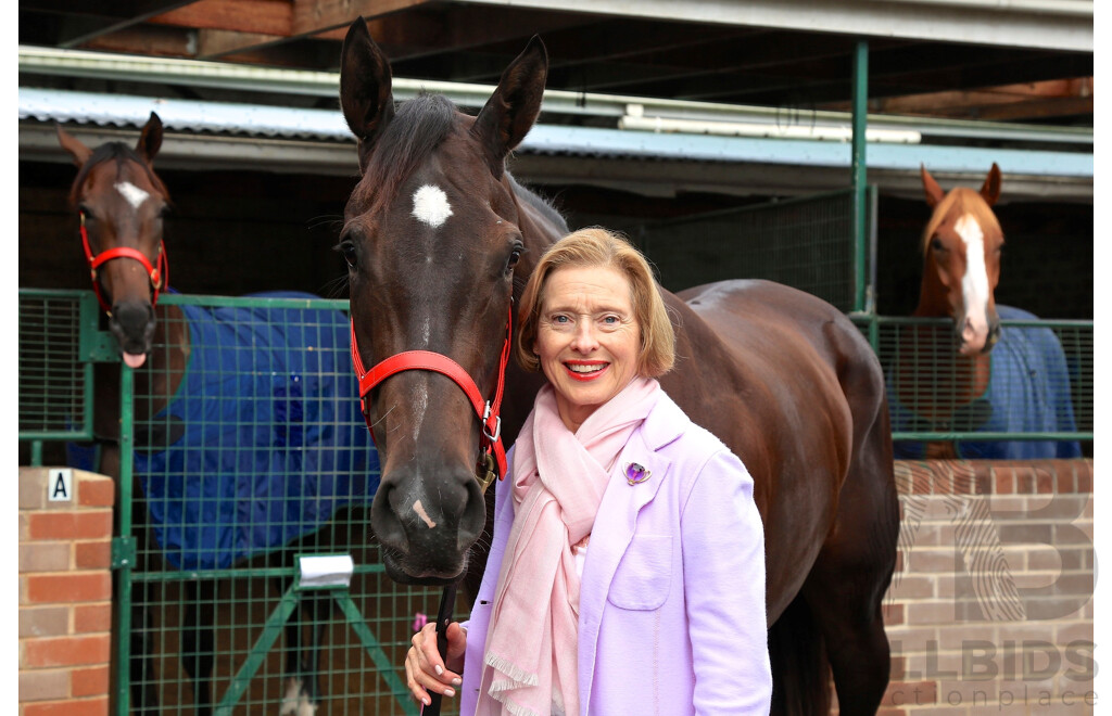 2-Day VIP Insider's Experience with Gai Waterhouse / Adrian Bott for 4 People