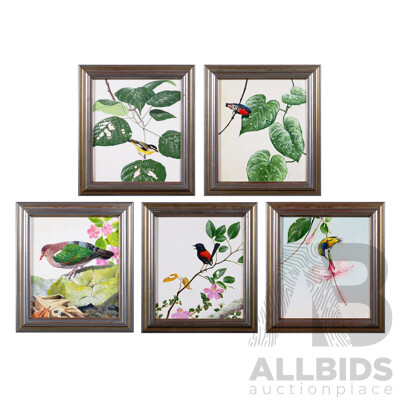 Frank T Morris, (20th Century, Scottish-Born Australian, 1936-2021), Collection of Five Beautiful Birds, Oil on Gessoed Board, 27 x 23 cm (images) (5)