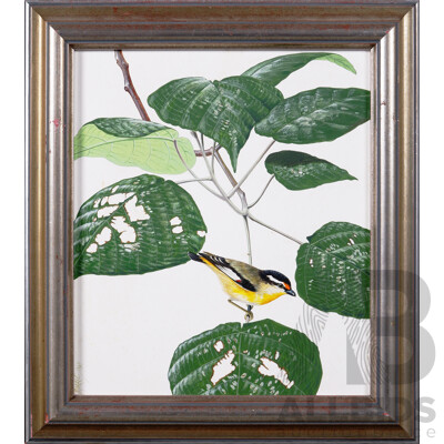 Frank T Morris, (20th Century, Scottish-Born Australian, 1936-2021), Collection of Five Beautiful Birds, Oil on Gessoed Board, 27 x 23 cm (images) (5)