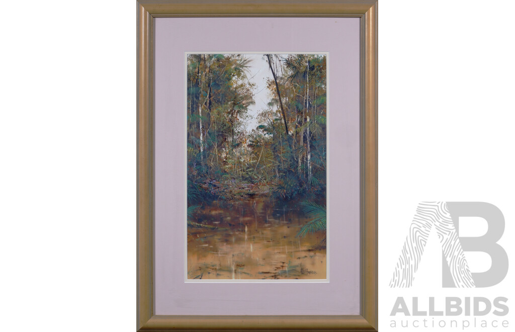 Alex Andrews (20th Century, German-Born Australian, 1947- ), Rainforest & Shadows, Wangoolba Ck, Fraser Island, Oil on Canvas 79 x 58  cm (frame)