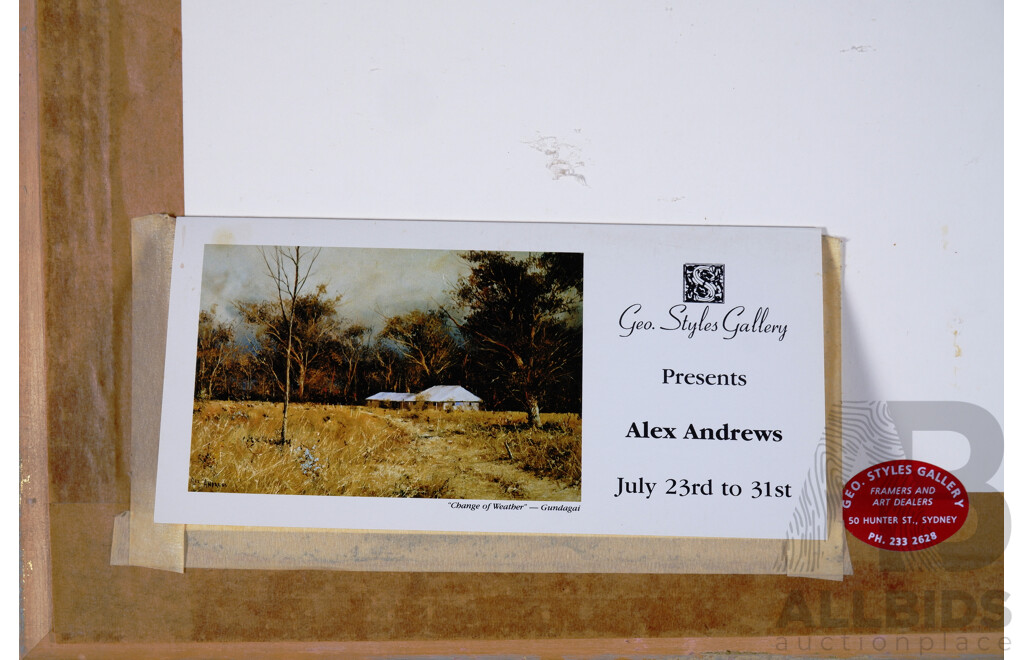 Alex Andrews (20th Century, German-Born Australian, 1947- ), Rainforest & Shadows, Wangoolba Ck, Fraser Island, Oil on Canvas 79 x 58  cm (frame)