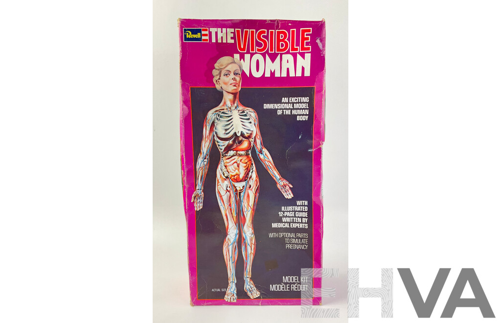 Vintage Revell 'The Visible Woman' Model with Original Box