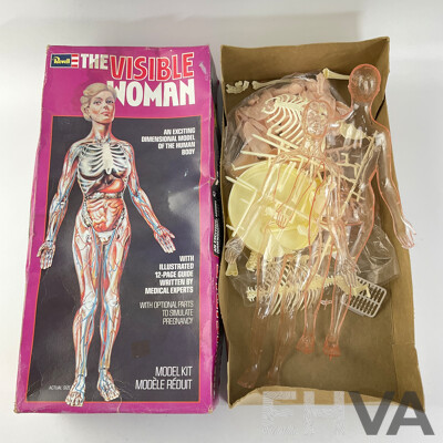Vintage Revell 'The Visible Woman' Model with Original Box