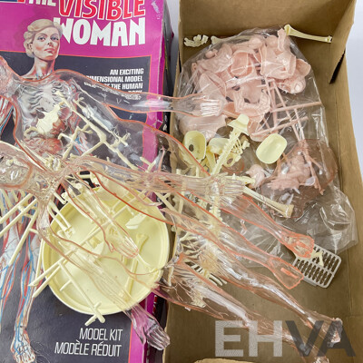 Vintage Revell 'The Visible Woman' Model with Original Box