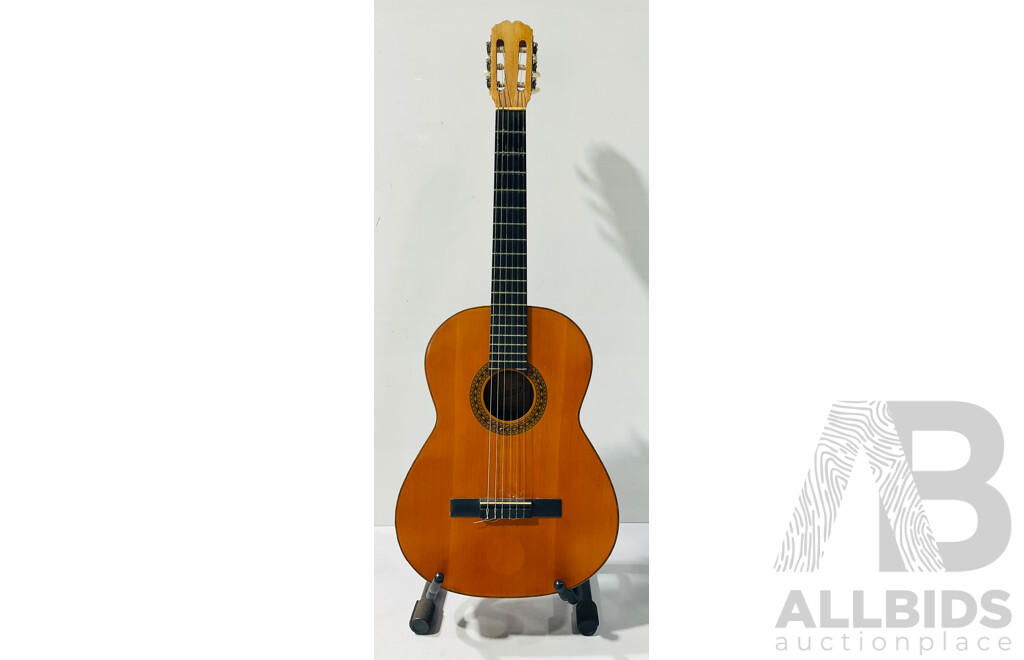 Admira Acoustic Guitar in Xtreme Bags Soft Guitar Case