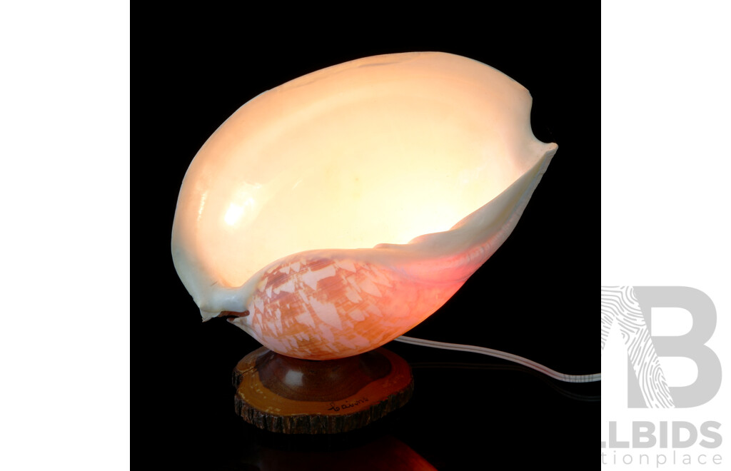 Retro Australian Cairns Bailer Shell Lamp on Mulga Wood Base
