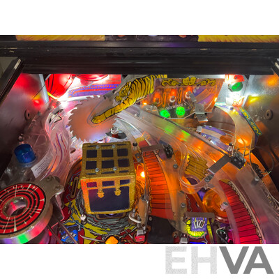 Theatre of Magic by Bally Pinball Machine