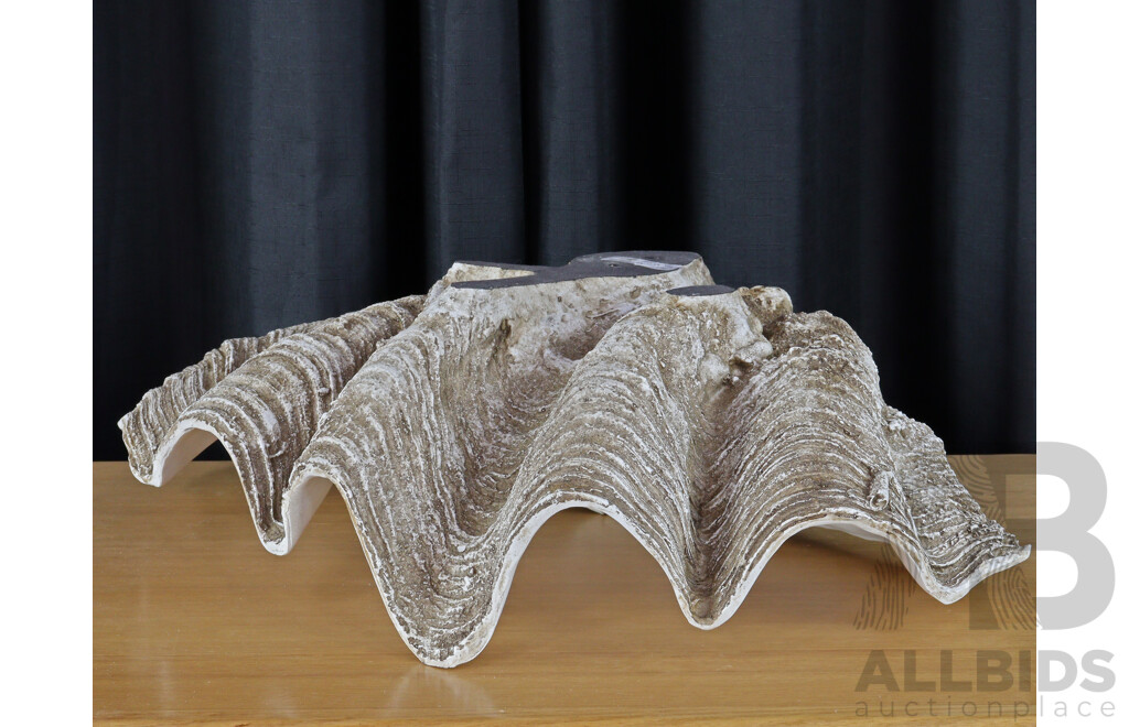 Large Faux Clam Shell