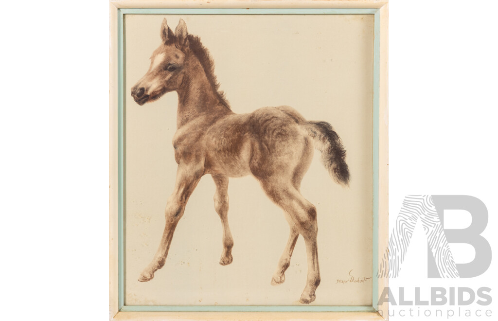 (Possibly) Kurt Meyer-Eberhardt, (20th Century, German, 1895-1977), Young Foal, Vintage Colour Print of Original Watercolour, 43 x 37 cm (frame)