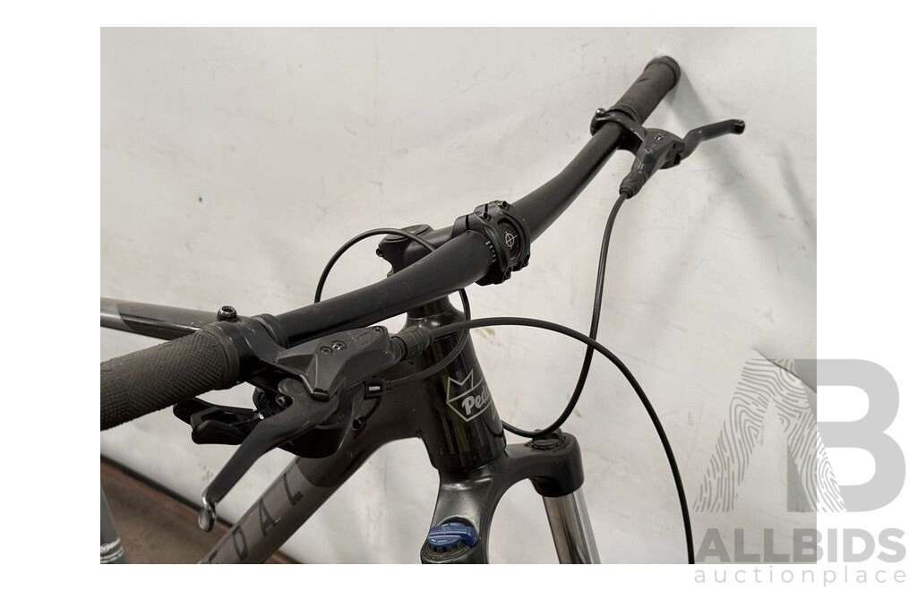 Pedal Viking Men's Mountain Bike