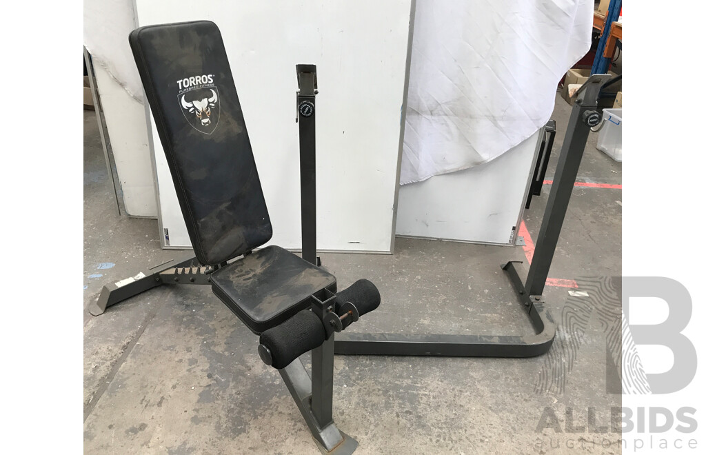 Torros Deluxe Weight Bench with Assorted Weight Plates