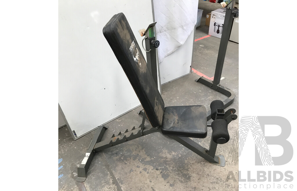 Torros Deluxe Weight Bench with Assorted Weight Plates