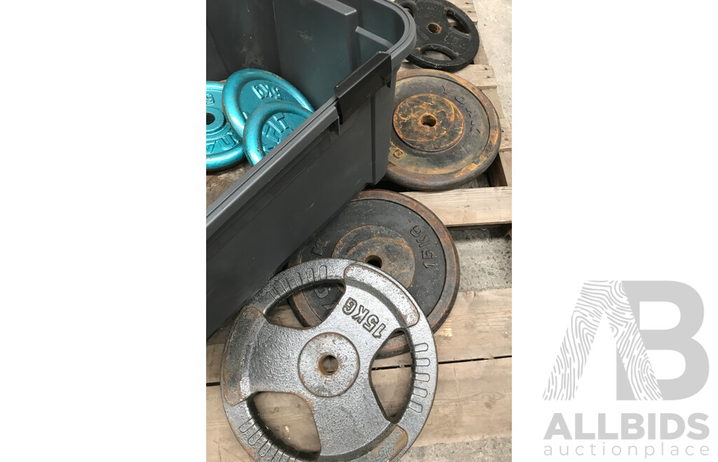 Torros Deluxe Weight Bench with Assorted Weight Plates