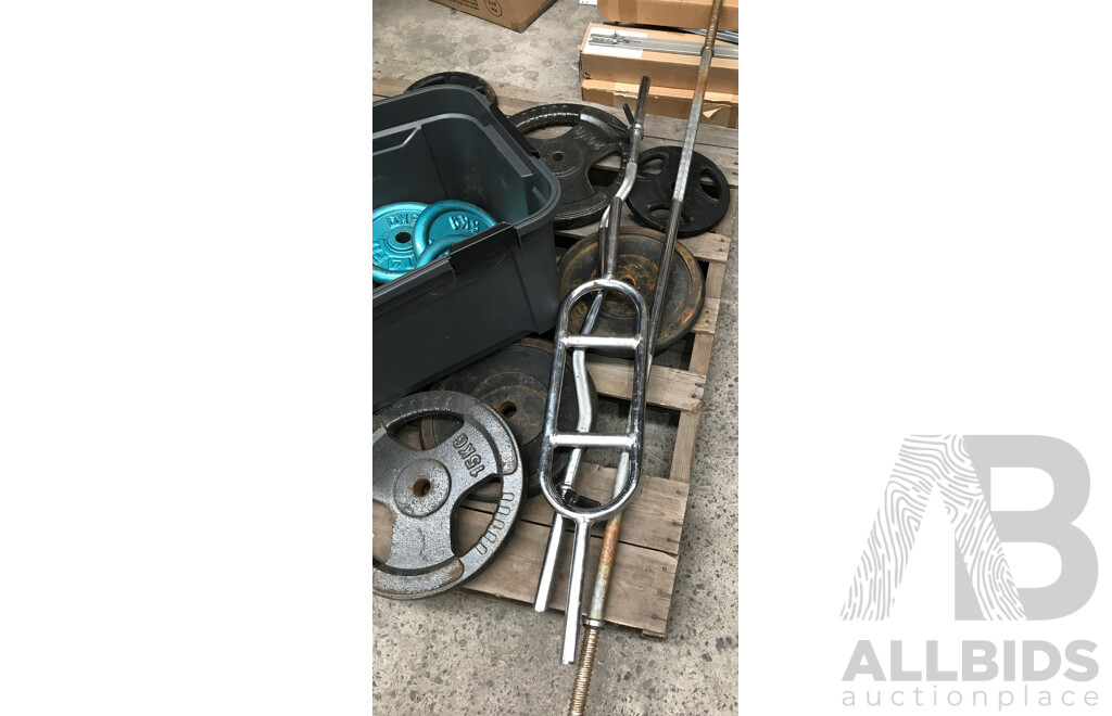 Torros Deluxe Weight Bench with Assorted Weight Plates