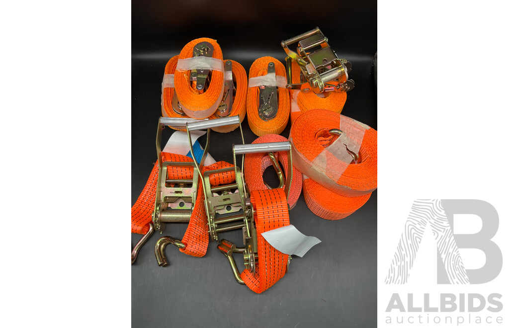 Assorted Tie Down Straps Lashing Straps