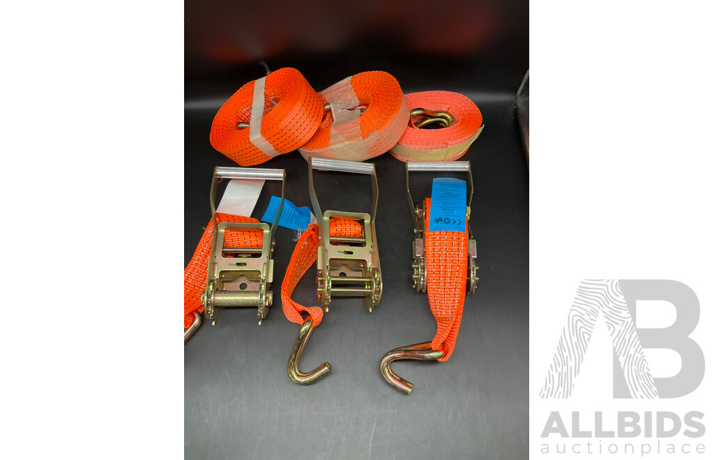 Assorted Tie Down Straps Lashing Straps