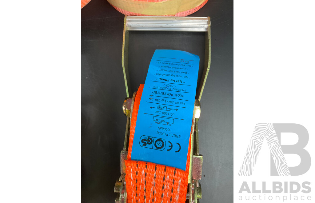 Assorted Tie Down Straps Lashing Straps