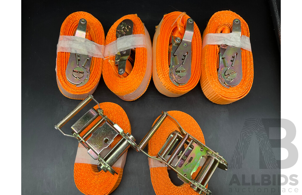 Assorted Tie Down Straps Lashing Straps