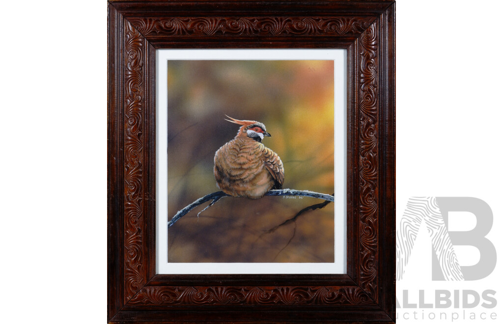Dawn Stubbs, (20th Century, Australian), Spinifex Pidgeon (1996), Watercolour, 45 x 40 cm (frame)