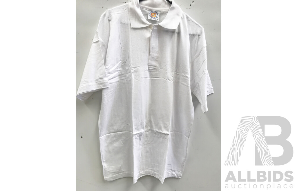 Palm Beach Short Sleeved Polo Shirts (Size: Small) - Lot of 100