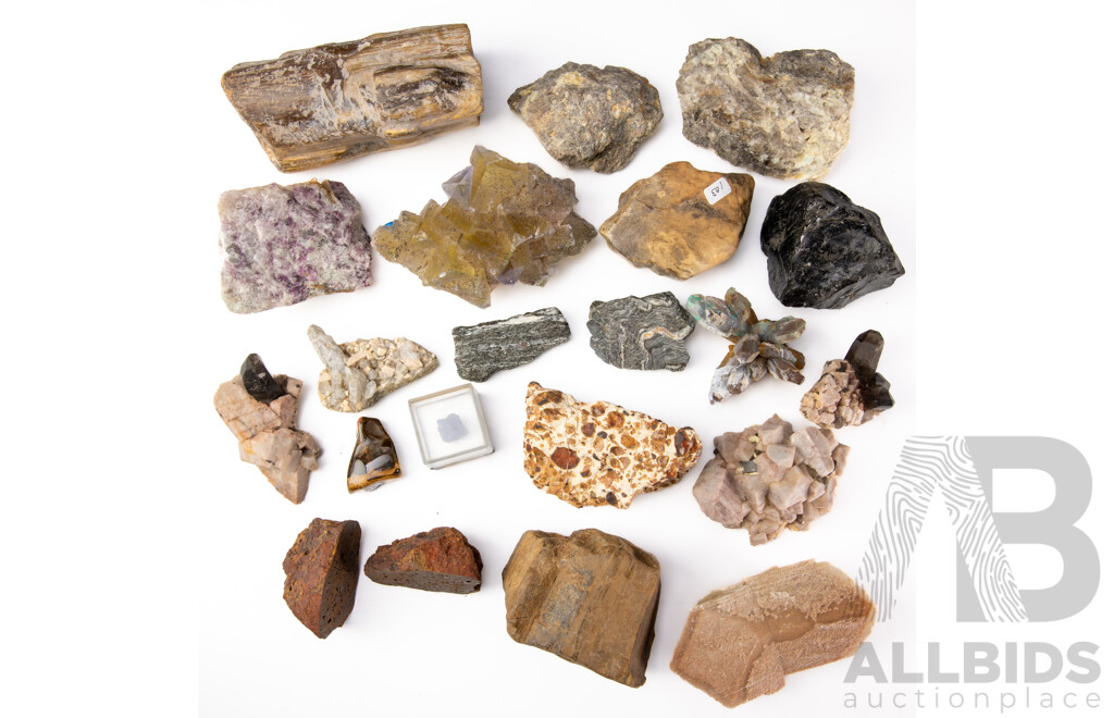 Collection Mineral Specimens Including Fluorite, Azurite, Petrified Wood, Gypsum Dessert Rose and More