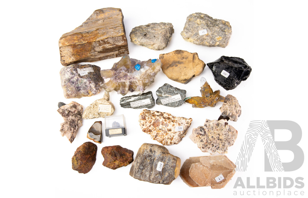 Collection Mineral Specimens Including Fluorite, Azurite, Petrified Wood, Gypsum Dessert Rose and More