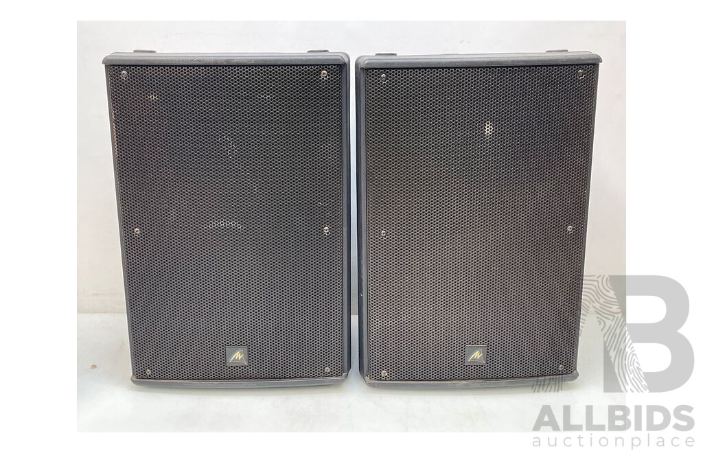 Ampro 600 Watt Professional Speakers - Set of 2