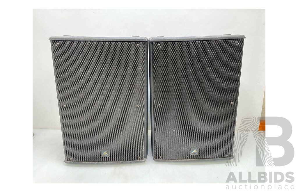 Ampro 600 Watt Professional Speakers - Set of 2