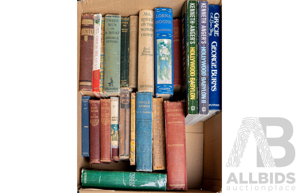 Collection Antique and Vintage Books Including Biographies, Literature and Including First English Edition 13th Impression All's Quiet on the Western Front and Much More