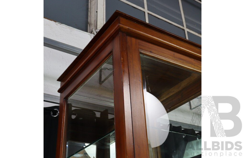 Mahogany Tall Display Case with Mirrored Back