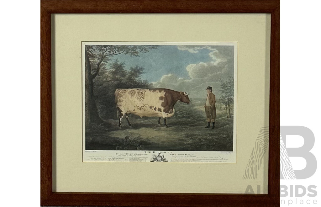 After John Boultbee, (British, 1753-1812), The Durham Ox, Colour Reproduction Print After Original Engraving by J. Whessel, 33.5 x 37 cm (frame)